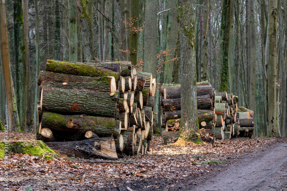 A pile of wood arranged along a forest road. Wood prepared for export. A pile of wood arranged along a forest road. Wood prepared for export.