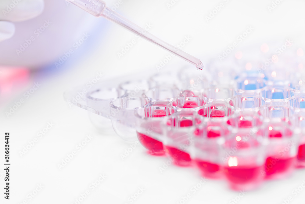 Pipette with drop of vaccine over set of plastic cells with red and blue fluids Pipette with drop of vaccine over set of plastic cells with red and blue fluids