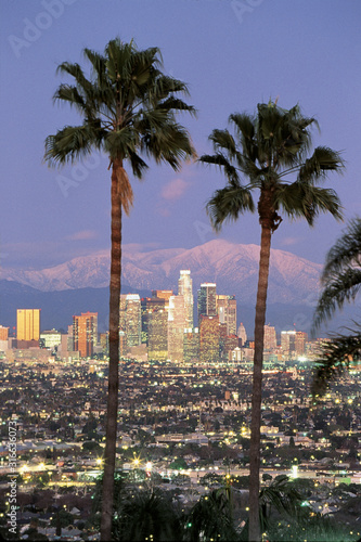 This is the Los Angeles skyline with two palm trees in the winter. Snowy Mount Baldy is in the background. It is the view from Baldwin Hills at dusk.