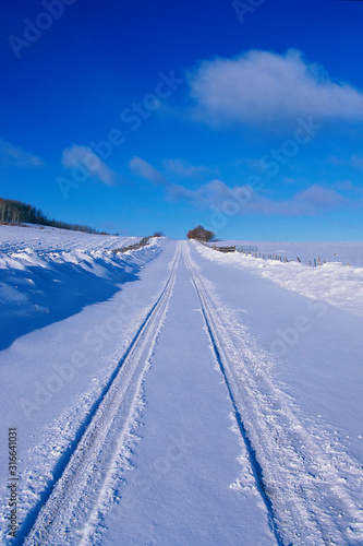 This is the Last Dollar Road in snow. It is at the Dallas Divide in the San Juan Mountains. It shows a road with freshly fallen snow with car tracks indented in the snow.