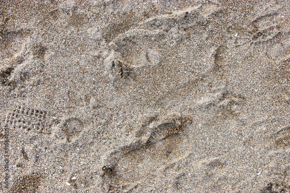 Footprints In The Sand. Footprints In The Sand.