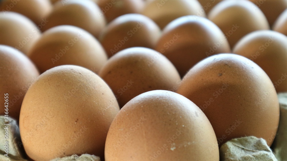 eggs in carton eggs in carton