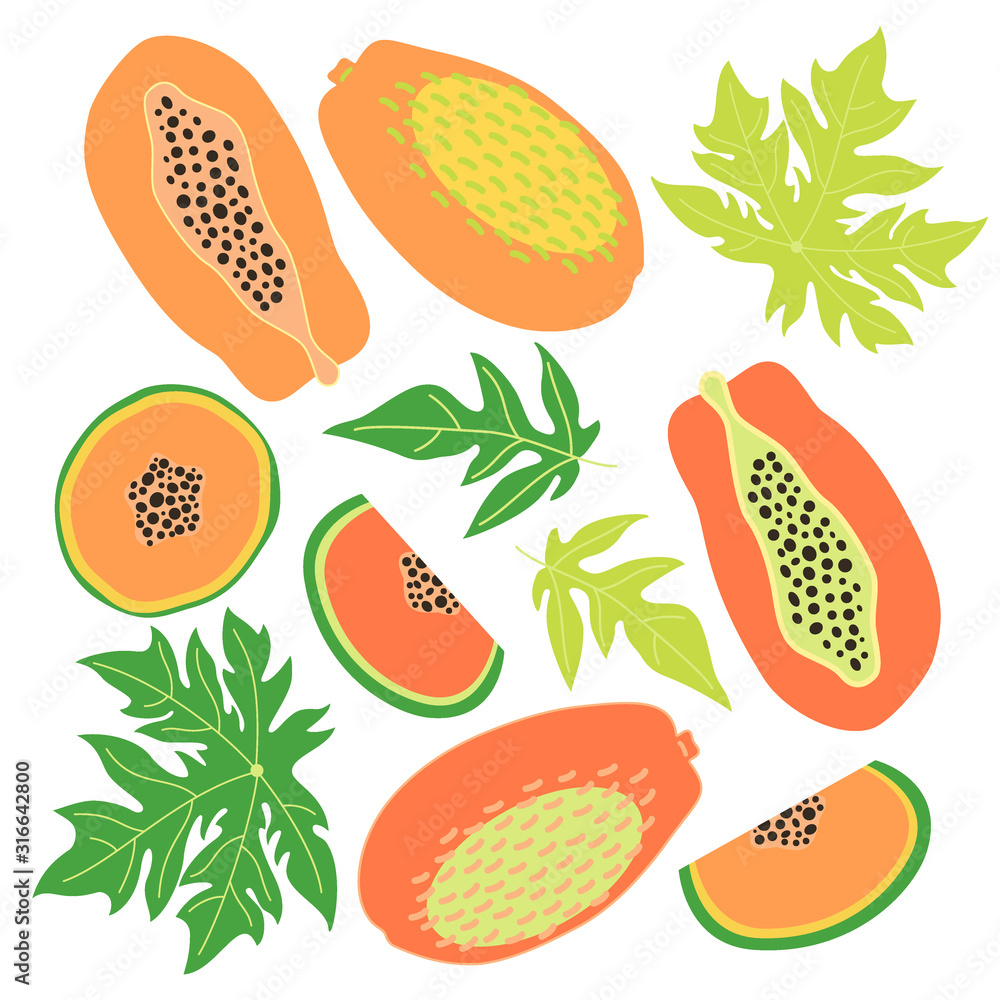 Set of Juicy fruits and slices of ripe papaya. Leaves of papaya fruit tree and papaya bones. Papaya fruits, slices and leaves isolated on white background. Fruit icons. Set of Juicy fruits and slices of ripe papaya. Leaves of papaya fruit tree and papaya bones. Papaya fruits, slices and leaves isolated on white background. Fruit icons.