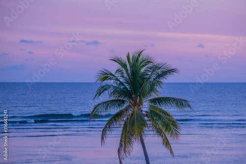 Palm tree and ocean with tropical pink sunset
