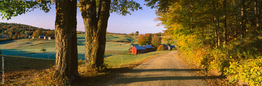 This is the road leading past the Jenne Farm. This is the road leading past the Jenne Farm.