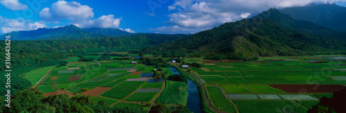 This is the Hanalei Valley Overlook. These are the fields of Toro.