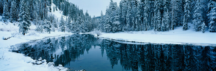 This is the Lake Tahoe area after a winter snow storm. There is snow covering the trees surrounding a stream. The winter trees are reflected in the stream.