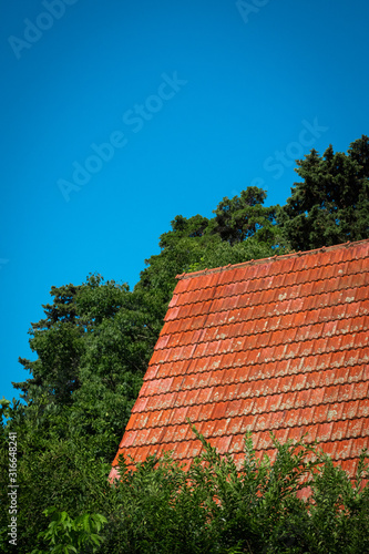 Sky and Roof