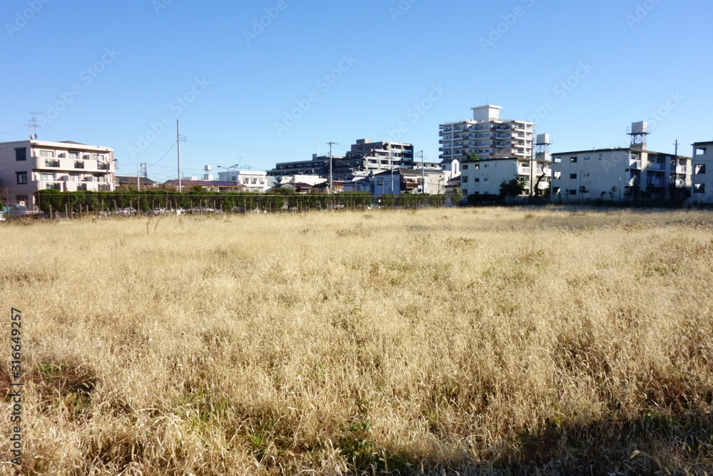 冬季の枯れた殺伐とした原野風景 冬季の枯れた殺伐とした原野風景