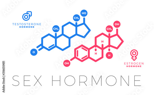 Testosterone and Estrogen, sex hormone molecule. Isolated Vector Illustration.