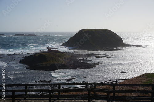 The Nobbies Boardwalk photo