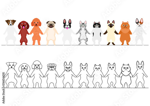 dogs and cats holding hands border set © Studio Ayutaka