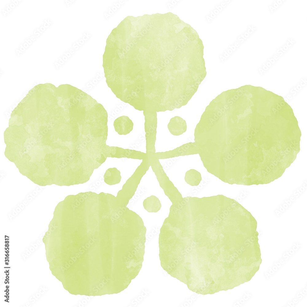 梅 白梅 黄緑色 手描き風 水彩風イラスト素材 Stock Illustration Adobe Stock