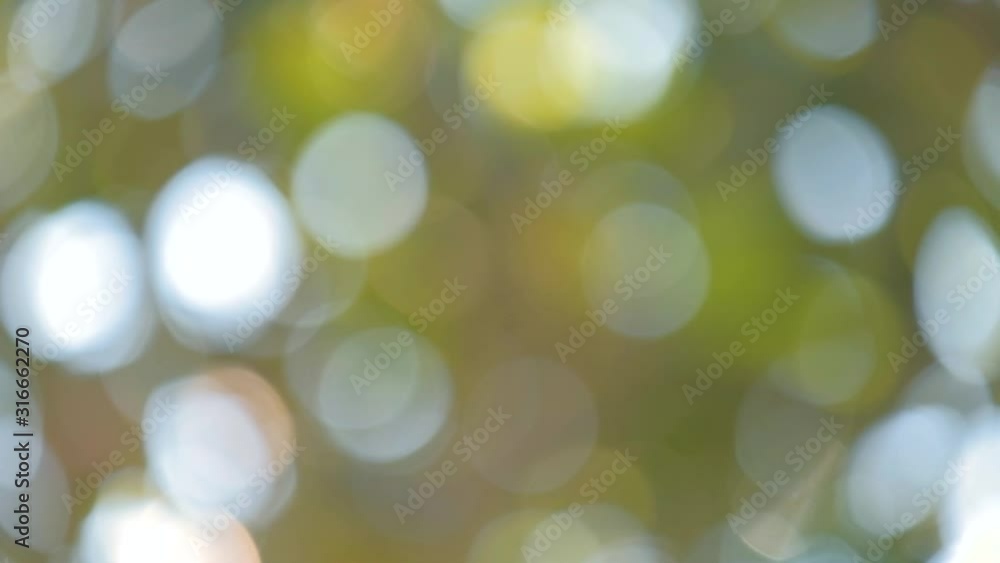 Bokeh of light nature,blured background,de focus.Sunlight shining through the leaves of trees.Abstract nature background, Nature green bokeh. Bokeh of light nature,blured background,de focus.Sunlight shining through the leaves of trees.Abstract nature background, Nature green bokeh.