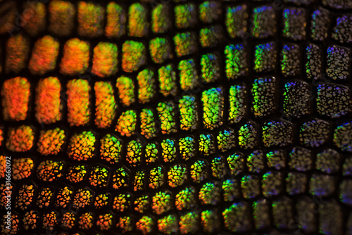 Multicolor macro close up texture