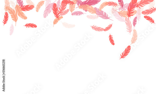 Fluffy twirled feathers on white design.