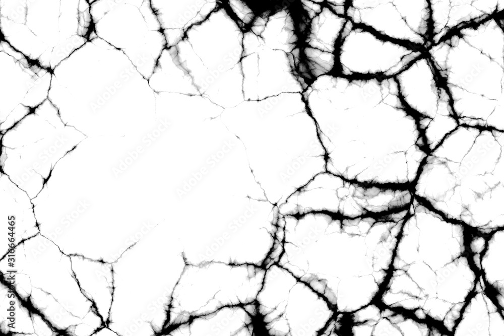 Obraz premium barbed wire