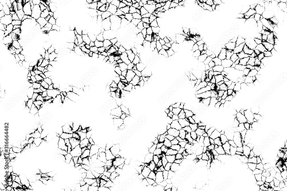 Naklejka premium seamless floral pattern with flowers