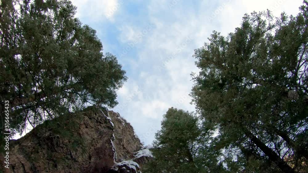 Flying straight up through forest of pine trees towards the sky during winter in Utah. Flying straight up through forest of pine trees towards the sky during winter in Utah.