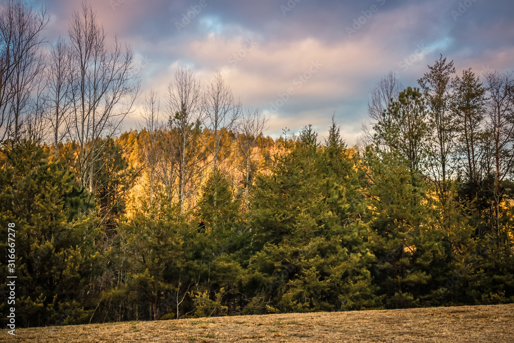 Fototapeta premium autumn in the mountains