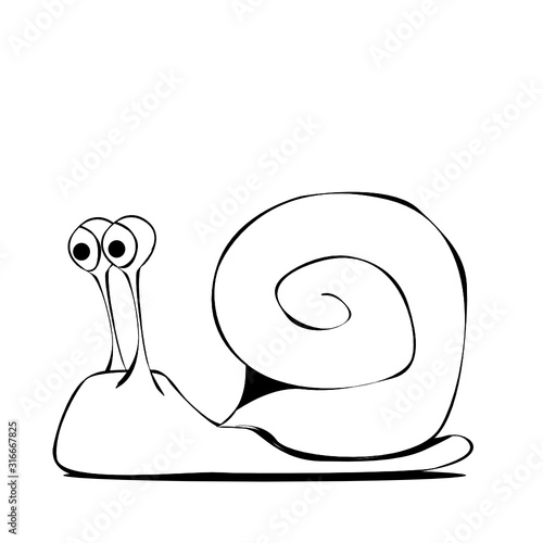 Schnecke