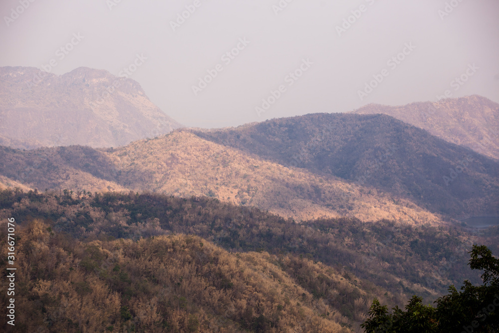 environment environment