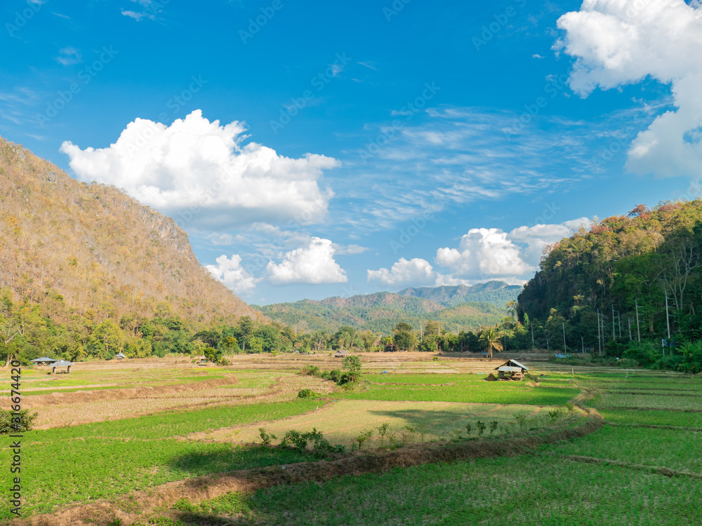 Paddy field in small valley