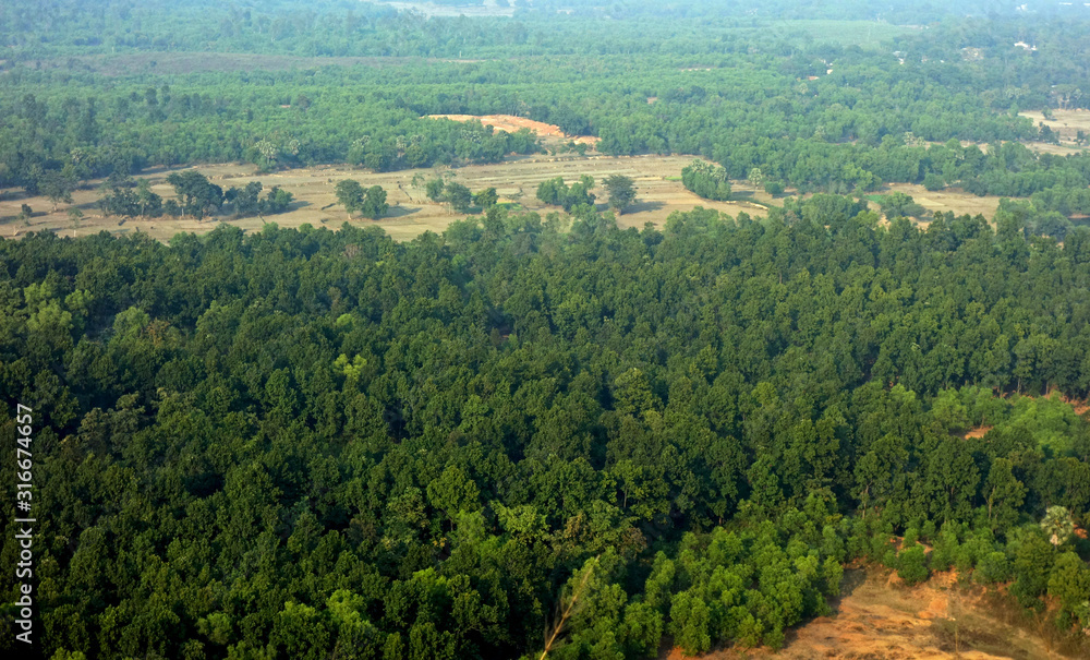 aerial view of a green natural forest landscape viewing from the top peak of a small hill.