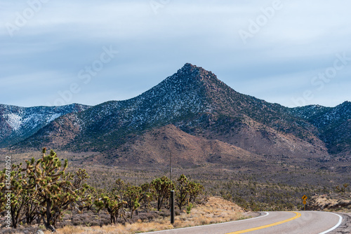 Arizona landscape of road, joshua trees, and mountain