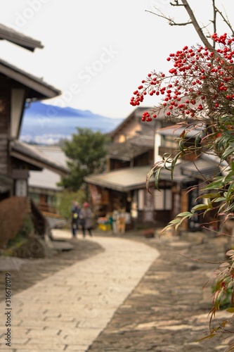 古い町並みを背景に赤いナンテンの縦長写真／Magome-juku is an old town in Gifu Prefecture, Japan. © yumiko
