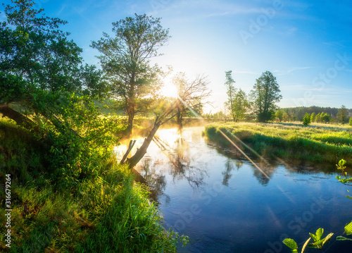 Fototapeta Naklejka Na Ścianę i Meble -  Beautiful panorama of sunshine morning on river. Sunshine summer morning