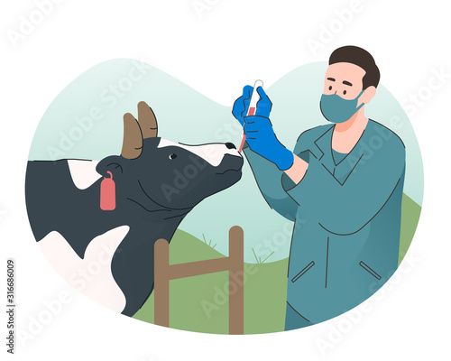 Veterinarian giving medicine to a cow. Agriculture industry, farming and animal husbandry health care and medical concept
