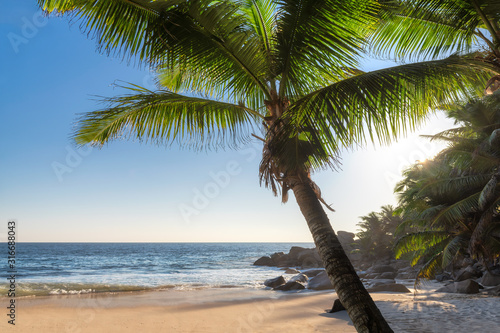Fototapeta Naklejka Na Ścianę i Meble -  Sunset at exotic tropical beach with coco palms and turquoise sea in exotic Paradise island.