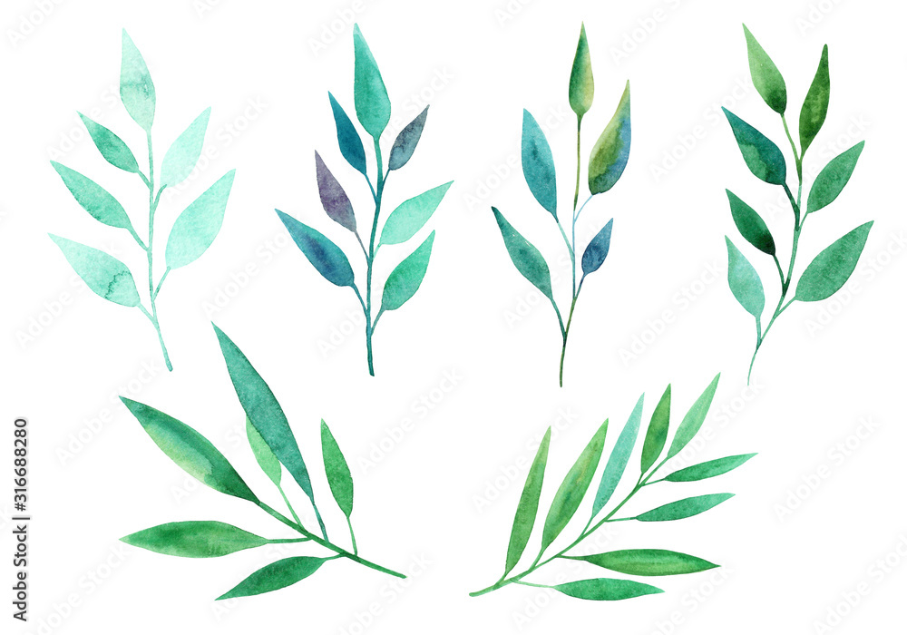 Set of green leaves. Watercolor illustrations. Collection for cards, patterns, flowers compositions, frames, wedding cards and invitations..