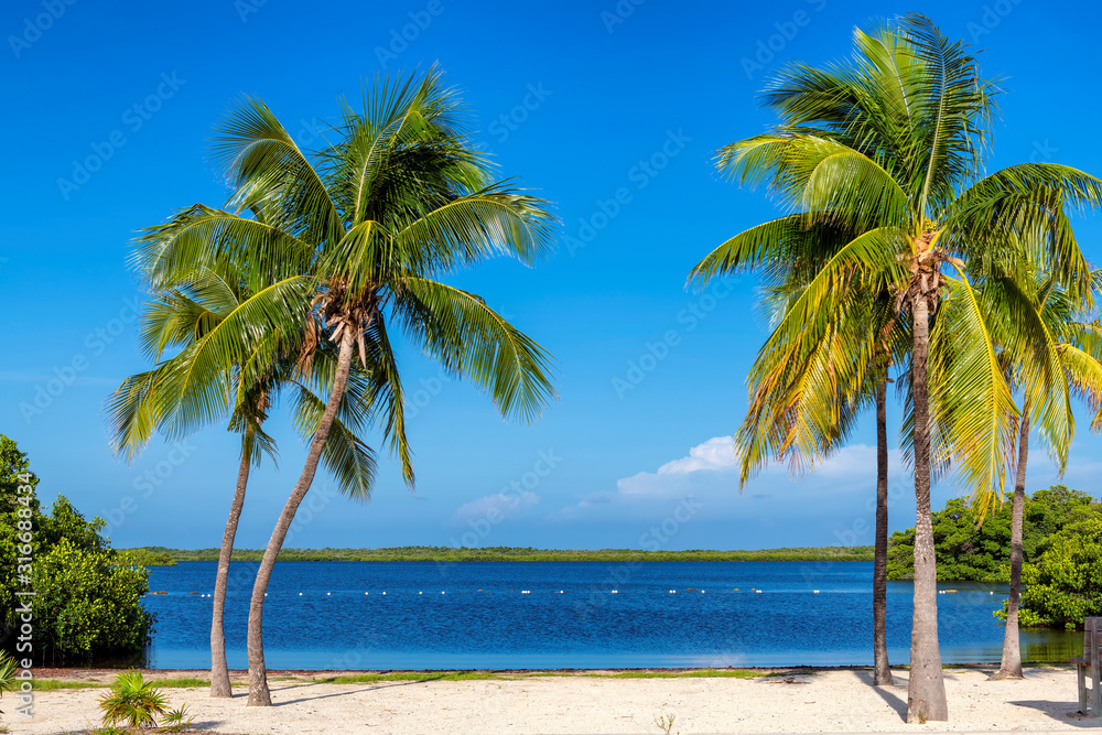 Beautiful beach with palms and turquoise sea in Florida Keys.	