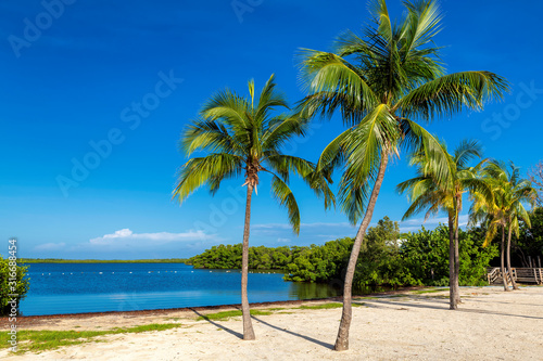 Beautiful beach with palms and turquoise sea in Florida Keys. 