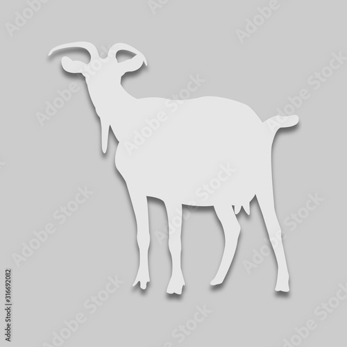 animal goat in bright tone