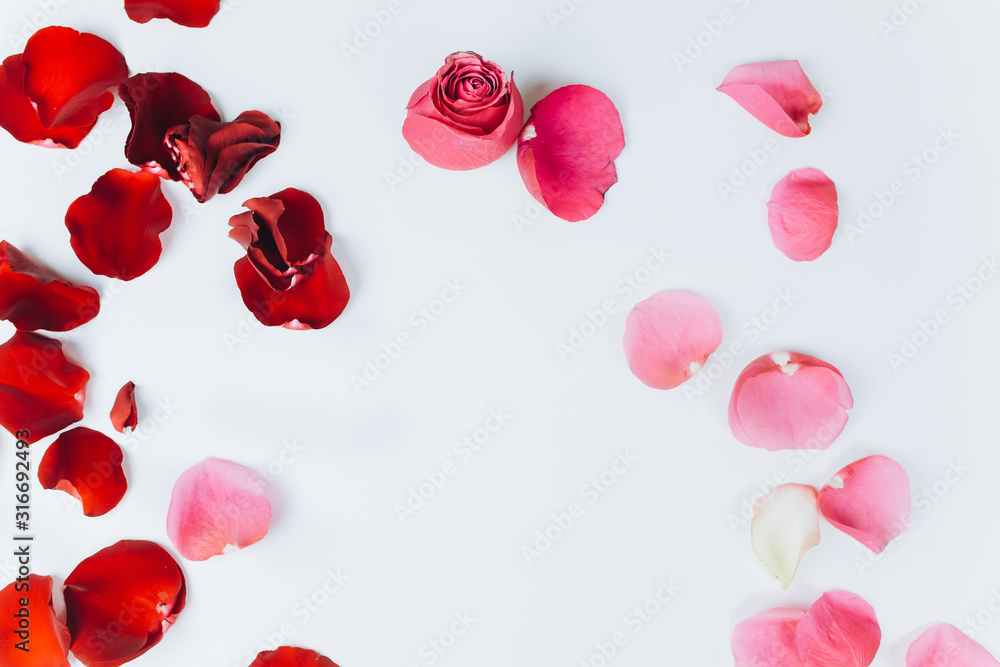 Red fresh leaves of roses lay on isolated background. St. valentine's day, romantic and love concept Red fresh leaves of roses lay on isolated background. St. valentine's day, romantic and love concept