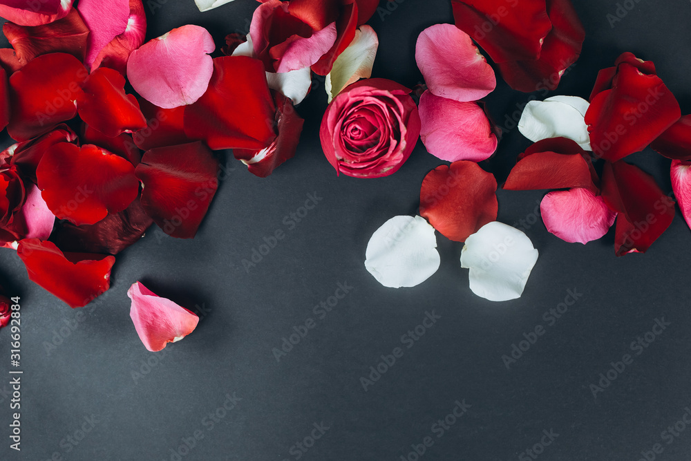 Red fresh leaves of roses lay on isolated background. St. valentine's day, romantic and love concept Red fresh leaves of roses lay on isolated background. St. valentine's day, romantic and love concept