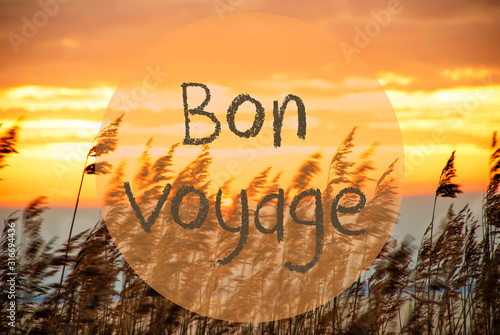 French Text Bon Voyage Means Good Trip. Beach Grass At Sunrise Or Sunset In Background