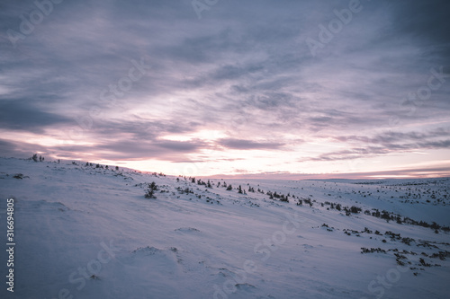 Winter landscape in Krkonose, after sunset beautifully painted landscape in shades of blue and pink color. Krkonose National Park, Czech Republic. Giant Mountain. © Tomas