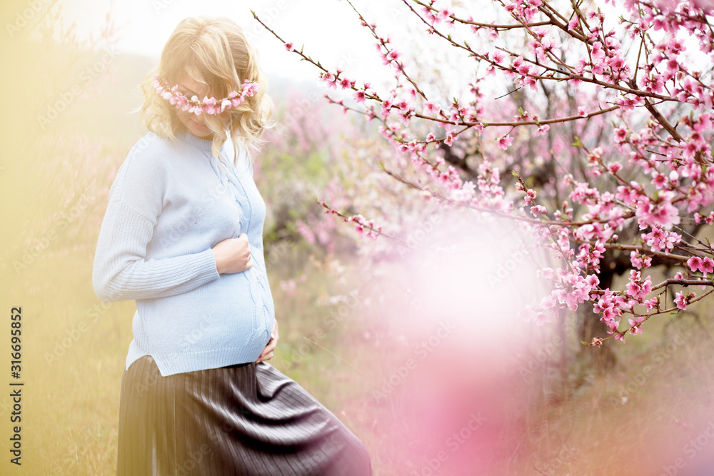 Beautiful pregnant woman posing against the pink flower trees garden in spring, dressed blue sweater and wreath pink flower . Female holding the belly. Beautiful pregnant woman posing against the pink flower trees garden in spring, dressed blue sweater and wreath pink flower . Female holding the belly.
