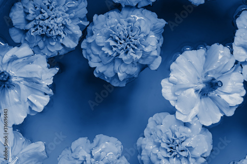 Classic blue flowers on blue water background. Flat lay. Pantone 2020