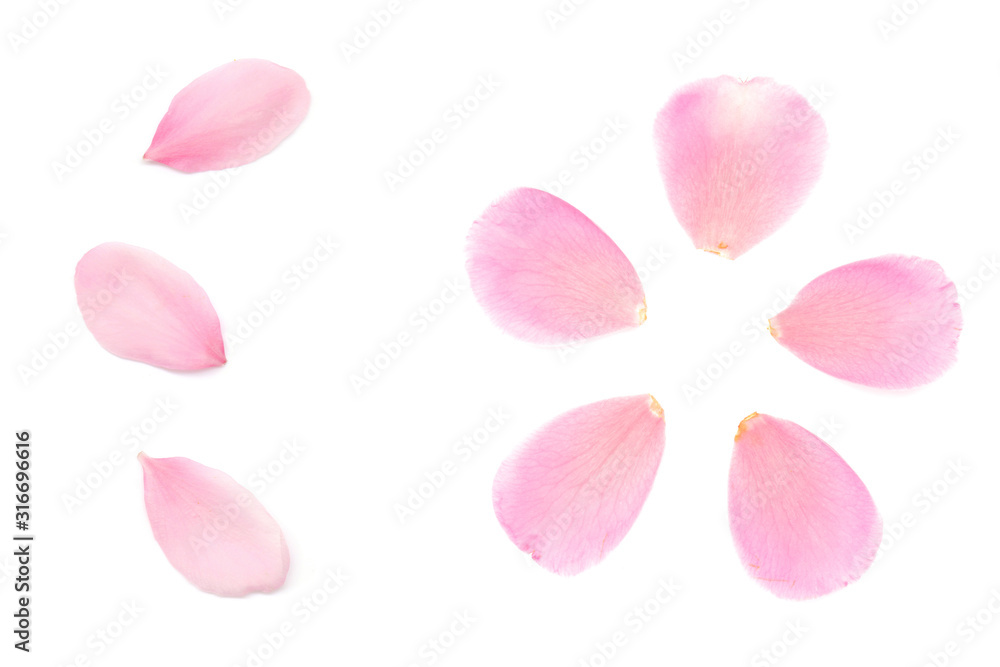 ピンク 花びら アブストラクト 春 白背景 Stock Photo Adobe Stock