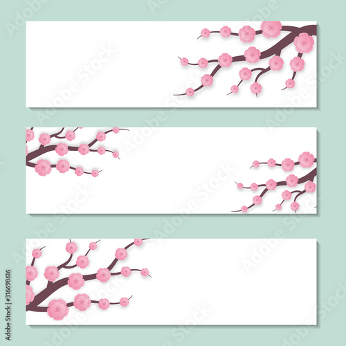Spring banner with flowers. Blossom cherry on white background. Blossom branch sakura. Spring flower blooming card. Japanese floral illustration. Paper cut blossom cherry for womens day. vector