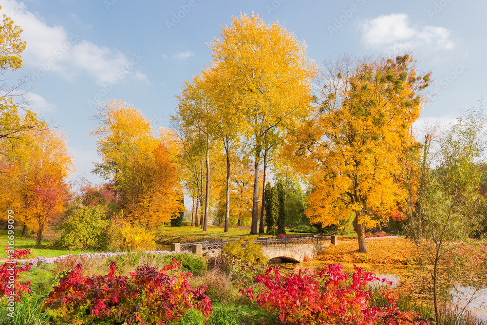 Obraz premium Fragment of autumn park with different trees, bridge over canal