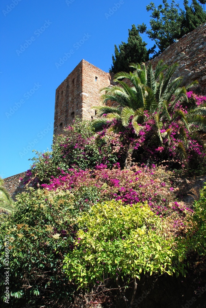 View of the Castle seen from the Pedro Luis Alonso gardens, Malaga, Spain.