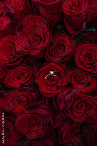 Gift for a sweetheart  a bouquet of 500 roses  and a ring with a diamond. On the occasion of the engagement.