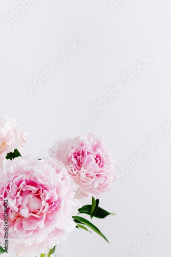 Beautiful pink Peony flowers on light background. Copy space. Banner, greeting card, story, flower shop concept. Close up, copy space