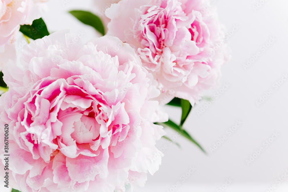 Beautiful pink peony bouquet on white background. Spring background, romantic present. Close up. Poster, greeting card, floral background concept Beautiful pink peony bouquet on white background. Spring background, romantic present. Close up. Poster, greeting card, floral background concept
